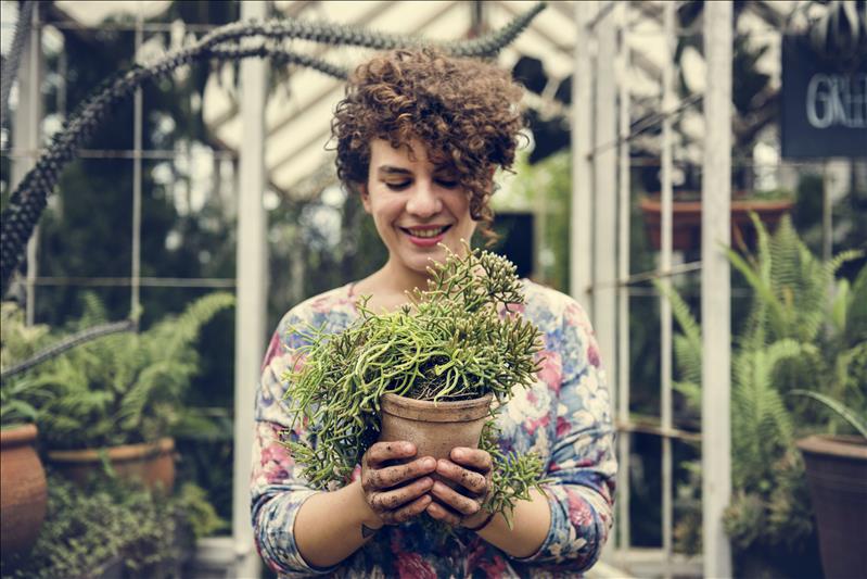 Summer styling tips to spruce up your Northern Rivers home