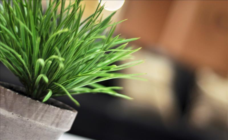  LANDSCAPING DELIVERS BIG RETURNS OVER TIME
