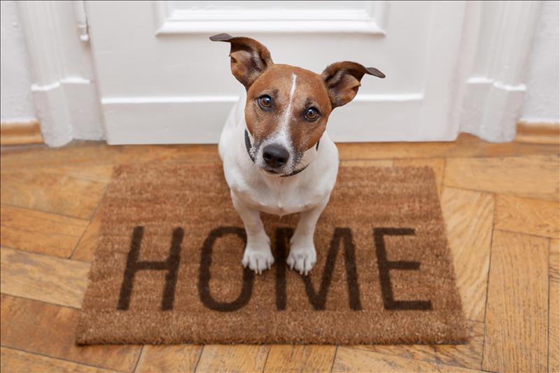 Bespoke Services with your Local Integrity New Homes Builder