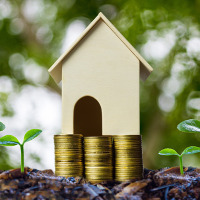 Property development for savvy mum and dad investors who are looking to make a killing in the real estate market