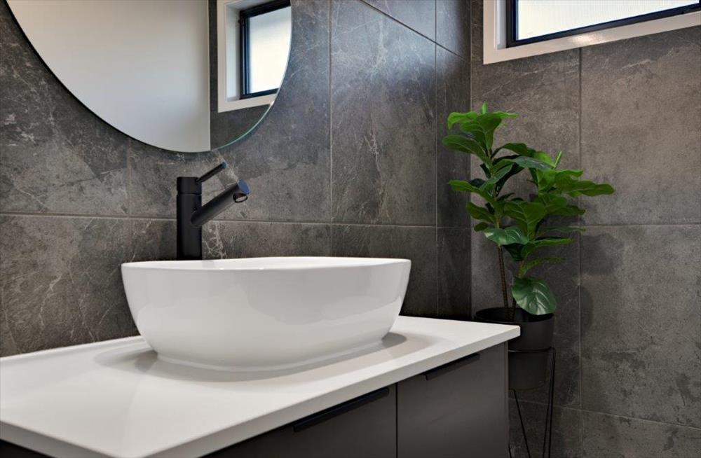 Home Design Internal. Bathroom. Vanity. Indoor Plant.