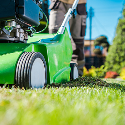 Four tips for a better lawn this summer