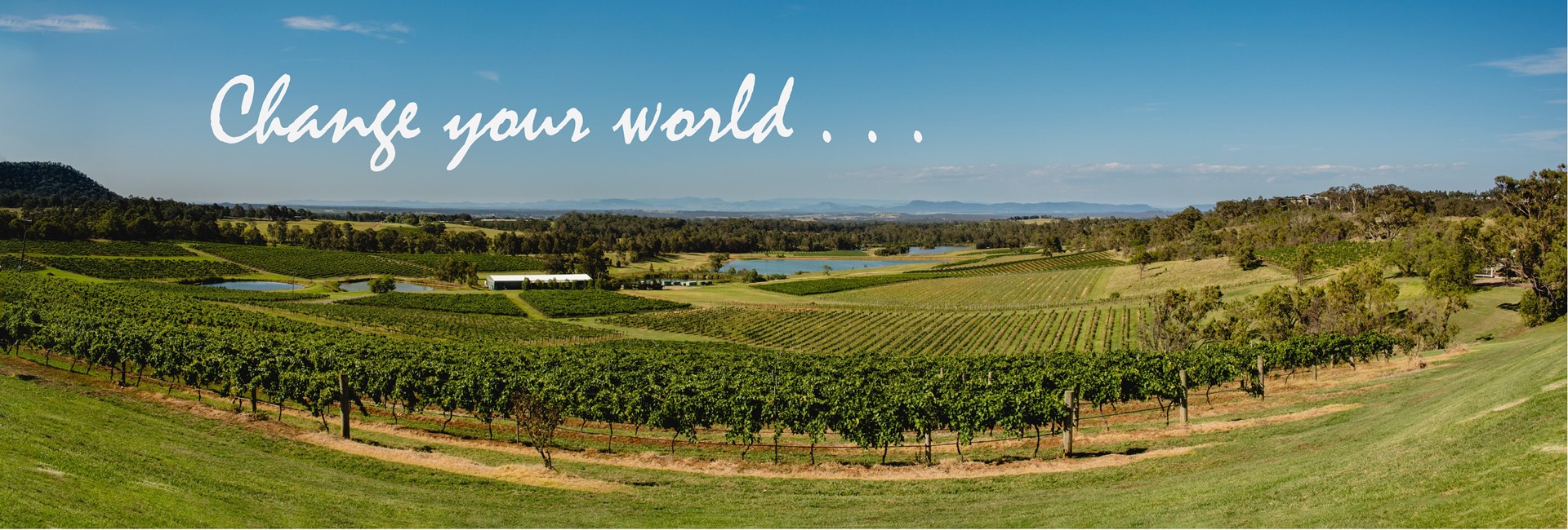 Integrity New Homes Custom Design Specialists