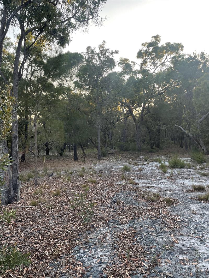 Flat Block, - Northern End Behind Springs Beach - Mostly cleared house site Integrity New Homes House And Land