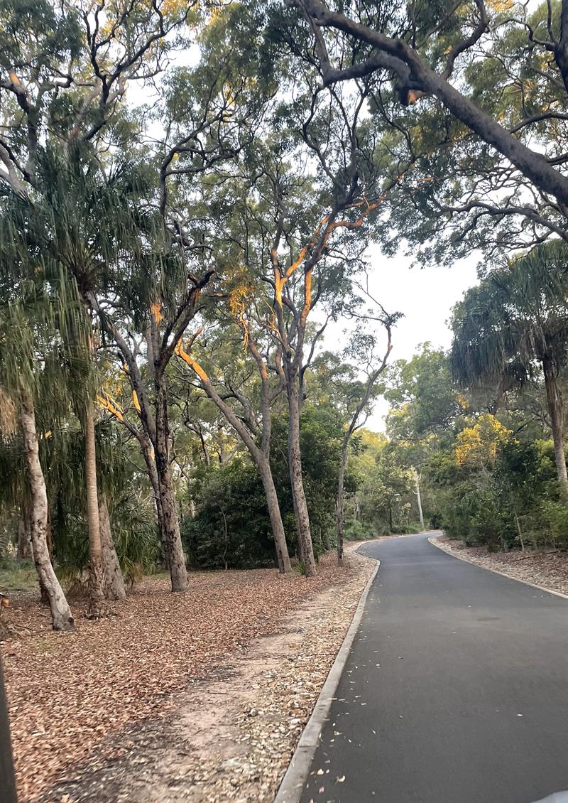 Northern End Behind Springs Beach Integrity New Homes House And Land