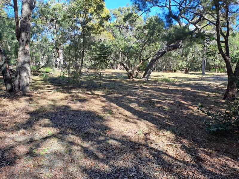 Flat Block, - Northern End Behind Springs Beach - Mostly cleared house site Integrity New Homes House And Land