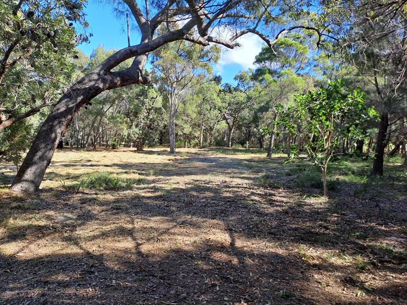 Flat Block, - Northern End Behind Springs Beach - Mostly cleared house site Integrity New Homes House And Land