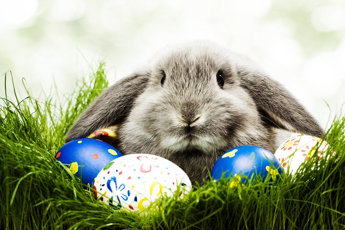 HAPPY EASTER TO ALL CUSTOMERS