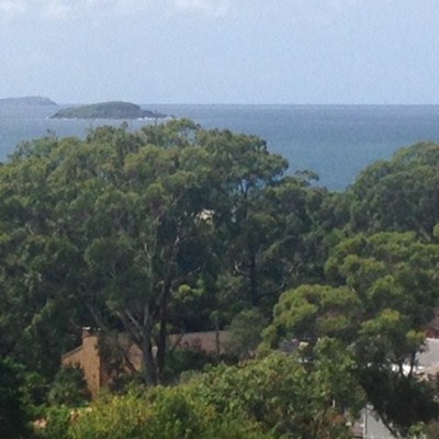 SEE VIEWS AS NEW KORORA HAVEN DISPLAY TAKES SHAPE