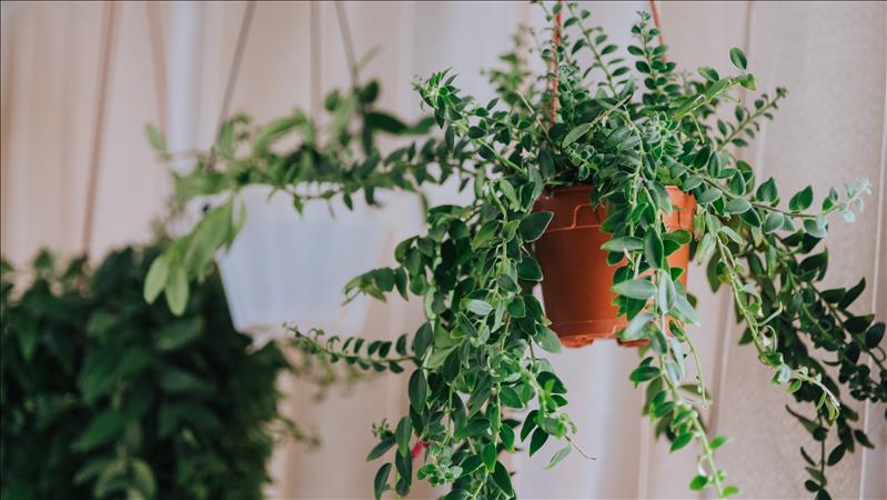Summer style tips for your home